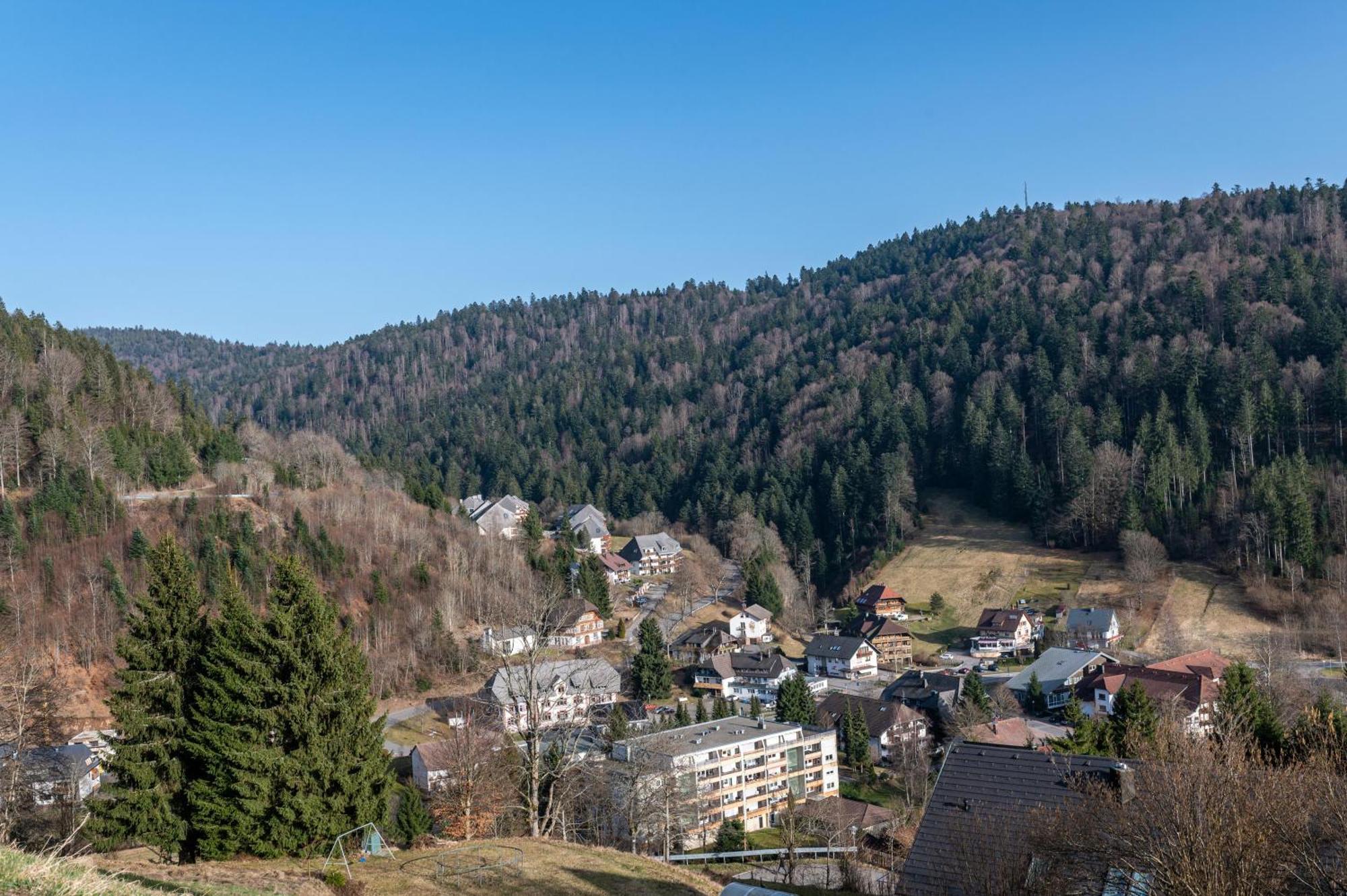 Villa Sonnenwinkel Todtmoos Exteriör bild