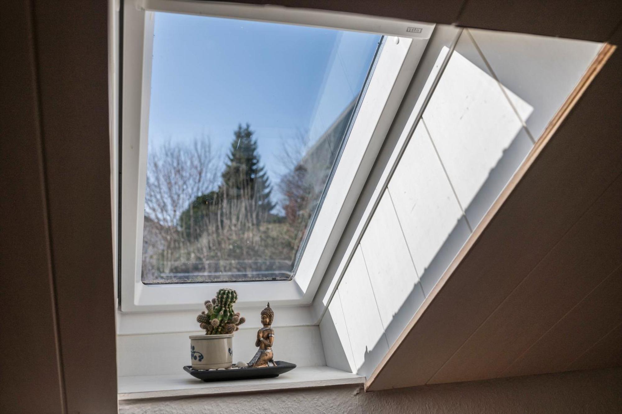 Villa Sonnenwinkel Todtmoos Exteriör bild